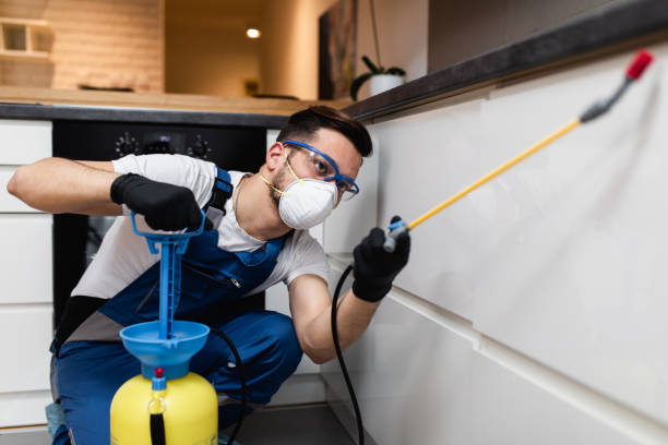 Best Rat Extermination Near Me  in Allen, TX