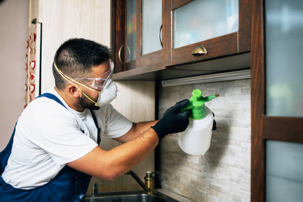 Pest Control for Restaurants in Allen, TX