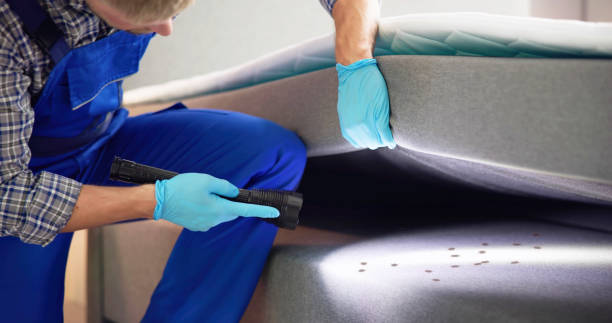 Best Pest Inspection Near Me  in Allen, TX
