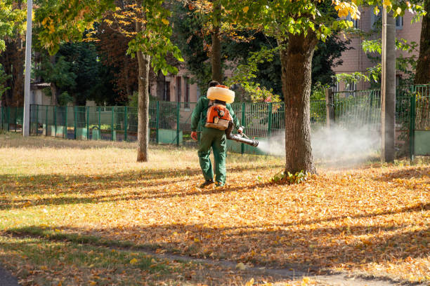 Best Mosquito Control Services  in Allen, TX