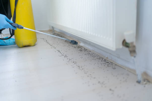 Best Exterminator Services  in Allen, TX
