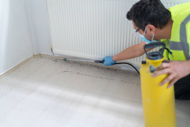 Best Pest Control Near Me  in Allen, TX